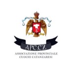 Logo APCCz13